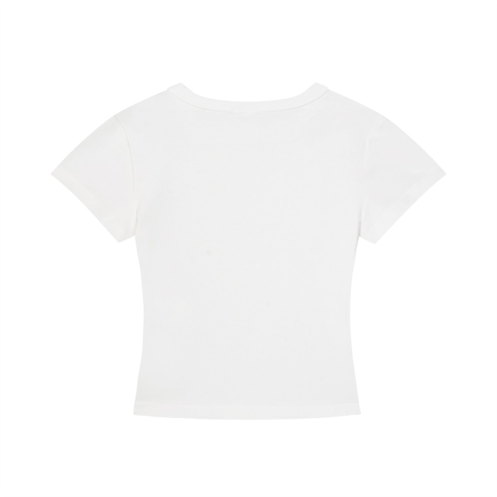250th Bday America Cropped T-Shirt
