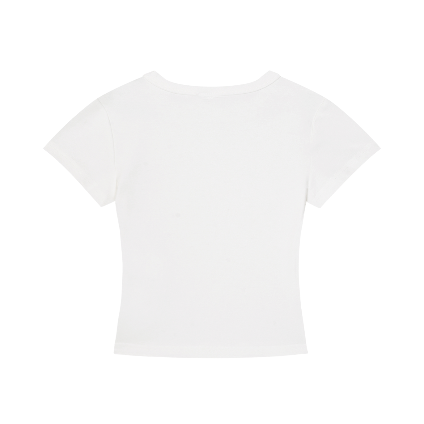 250th Bday America Cropped T-Shirt